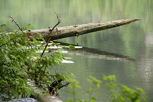 Brohm Lake in British Columbia