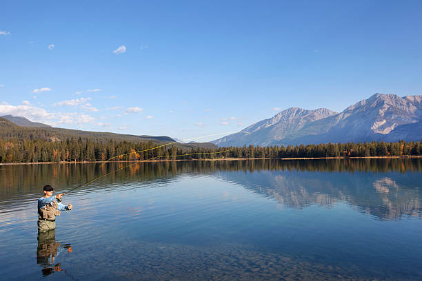 рыбалка на скалист�ые горы, альберта, канада - fly fishing стоковые фото и изображения