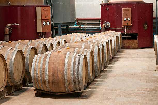 tonneaux de vin - winery wine cellar barrel photos et images de collection