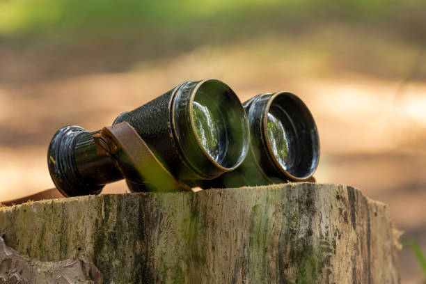 Black binoculars resting on top of tree stump stock photo