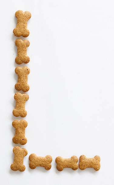 istock Bone Shape Dog food Letter L 153225017