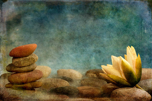 kamieni zen kwiat lotosu z - oil painting fine art painting watercolor painting river zdjęcia i obrazy z banku zdjęć