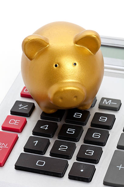 istock Piggy Bank and Calculator 153225181