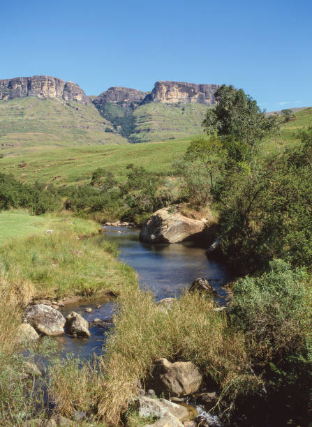 istock A Rock Pool in Royal Natal National Park 1532258683