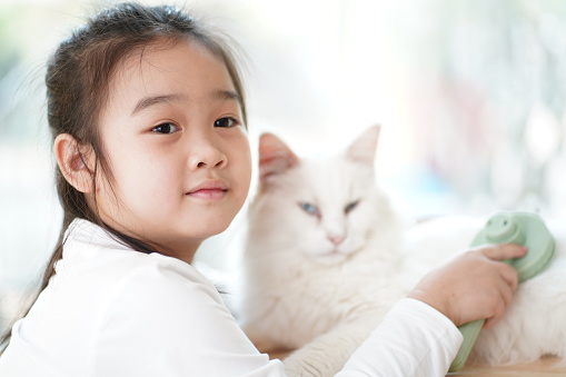 Little Asian cute girl caring cat in the farm cafe