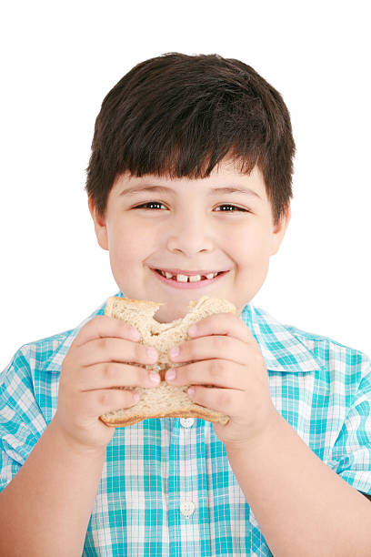 istock Little boy eating a integral bread, sandwich. 153230475