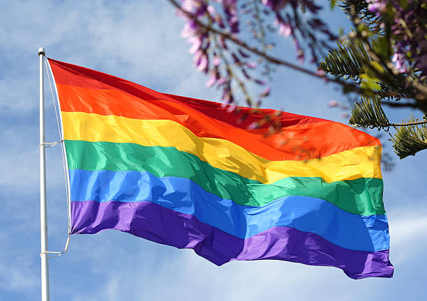 Regenbogen Flagge in den Frühling – Foto
