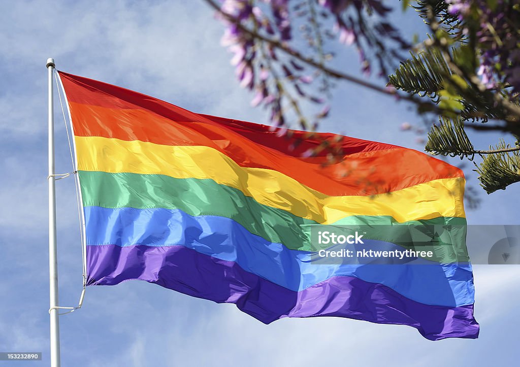 Rainbow flag in spring Large rainbow flag waving against blue sky with spring blooms and foliage in foreground Blue Stock Photo