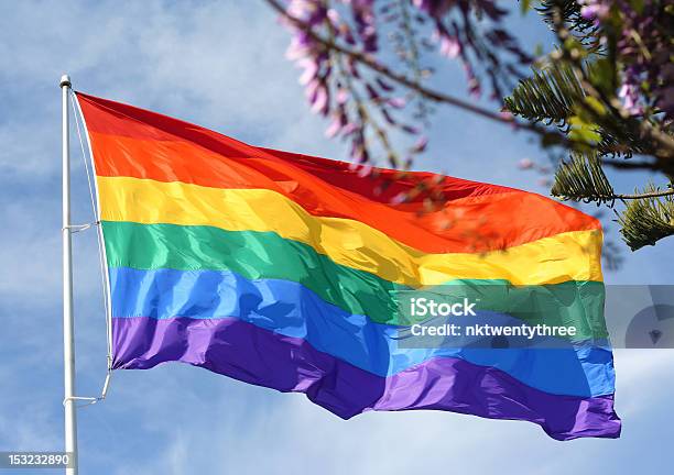 Rainbow Flag In Spring Stock Photo - Download Image Now - Blue, Flag, Flower