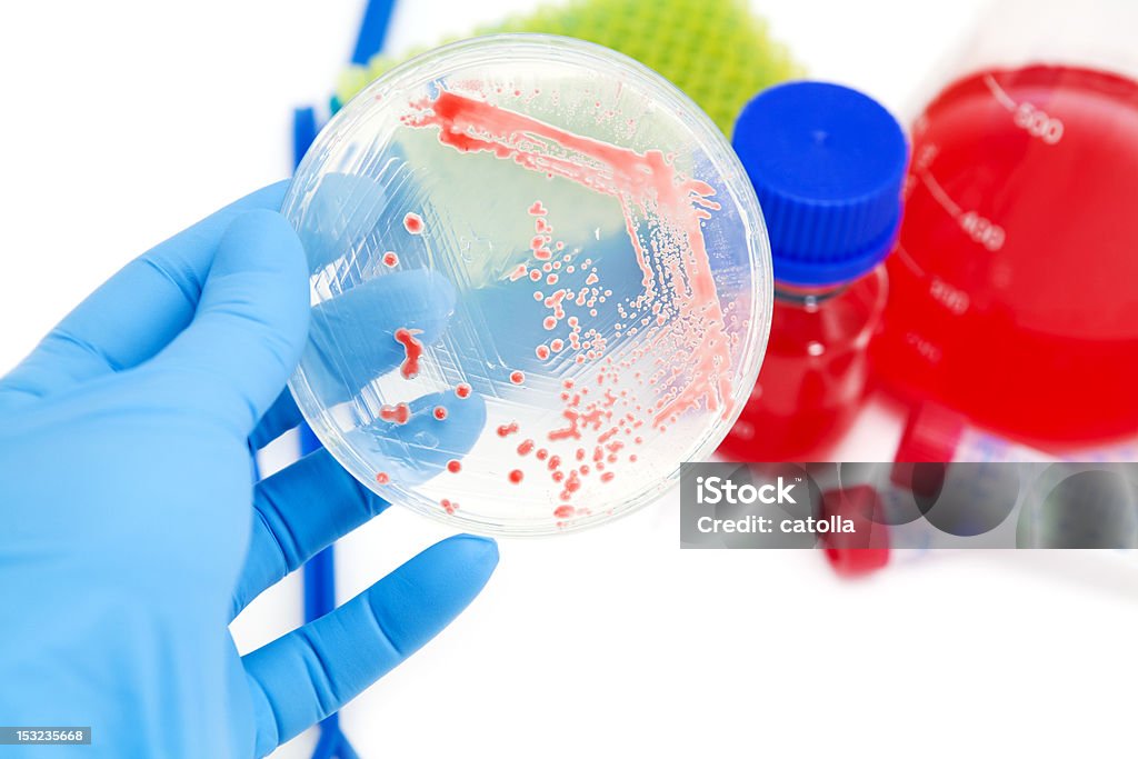 Bactérias mutantes em ágar Placa de laboratório - Royalty-free Aula de Química Foto de stock