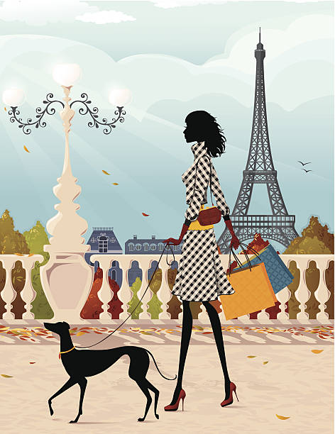 ilustrações de stock, clip art, desenhos animados e ícones de compras em paris (outono - adult autumn backgrounds beauty