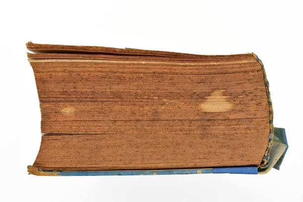 istock close up brown old book isolated on white background, vintage style 1532358635