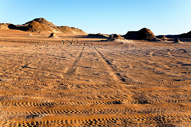 pneu marques dans le désert - tire track egypt track africa photos et images de collection