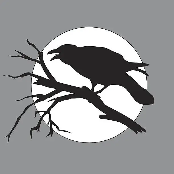 Vector illustration of crow in the night