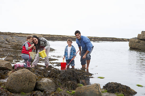 jeune famille à la plage en ramassant des coquillages - sensory perception shell using senses women photos et images de collection