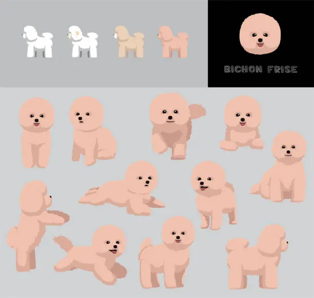 Vector illustration of Dog Bichon Frise Cream Coat Cartoon Vector Illustration Color Variation Set