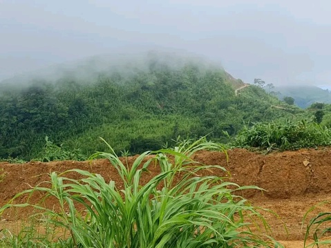 This photo ha a beoutyful hill with clouds.This photo was take in Bandarban, Bangladesh.