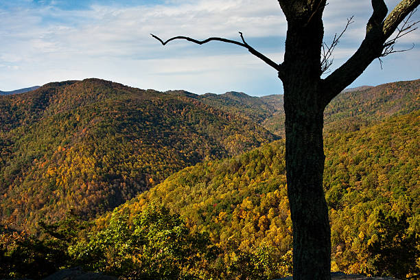 istock Shenandoah Hillsides in Autumn 153243476