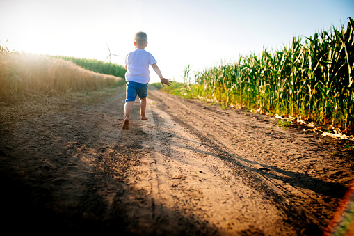 the happy little child running and playing in a field on a sunny summer day at sunset