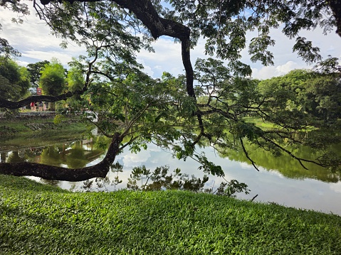 A nice view at a lake