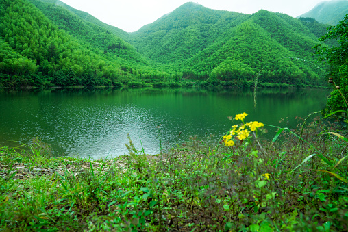 Green mountains and green waters