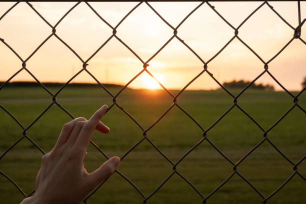 istock Hand over metal grid fence at sunset with copy space 1532466619