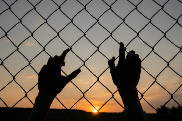 istock Two silhouette hands over metal fence 1532467641