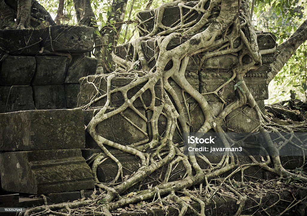 Ruines de Beng Mealea, Angkor, Cambodge - Photo de Angkor libre de droits