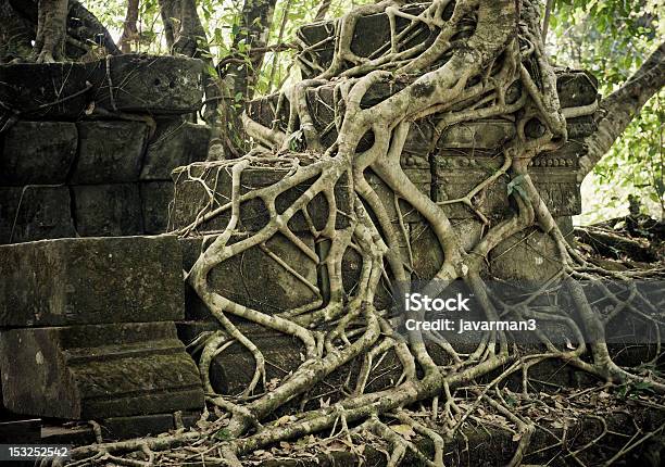 Бэнгмеалеа Руин Ангкор Камбоджа — стоковые фотографии и другие картинки Азия - Азия, Ангкор, Археология