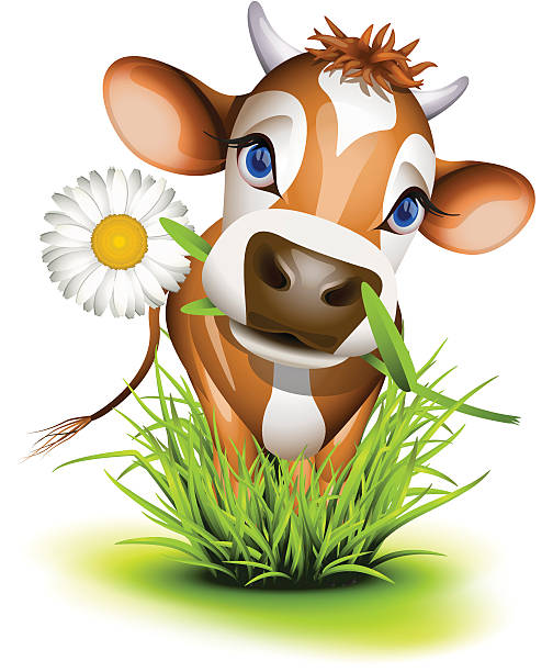 Little Jersey cow vector art illustration