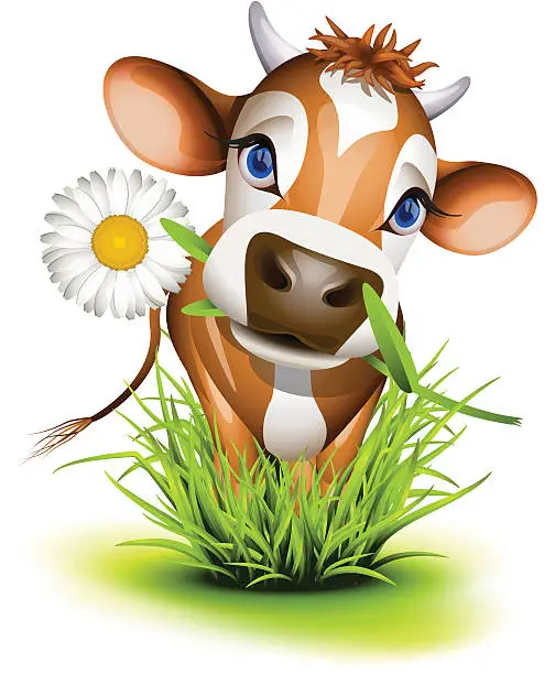 Vector illustration of Little Jersey cow