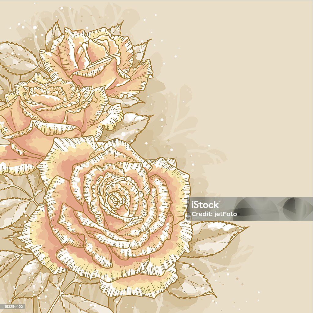 Розовые розы на фоне цвета - Векторная графика Ажурный роялти-фри