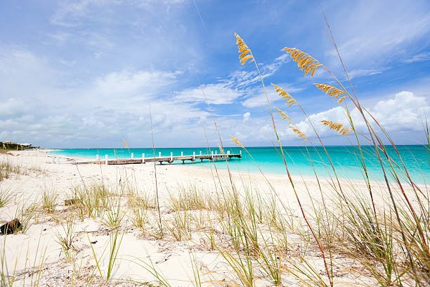 istock Caribbean beach and sea 153258152