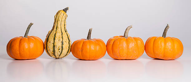 istock The Stand Out Gourd 153258180