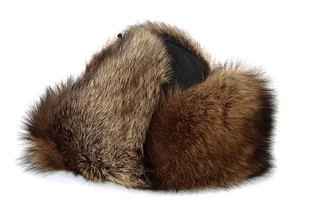 Winter raccon fur hat isolated on white