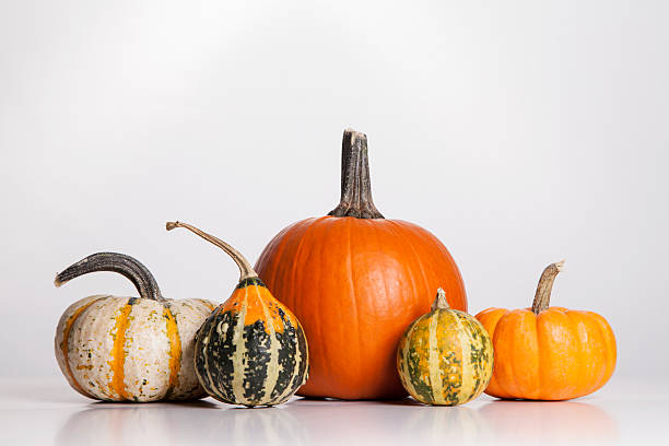 istock Pumpkins and Gourds 153258517