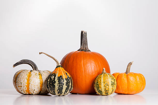 Pumpkins and Gourds stock photo