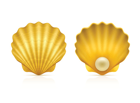 Two Shells Pfp Two Shells On White Background Stock Illustration - Download Image Now ...