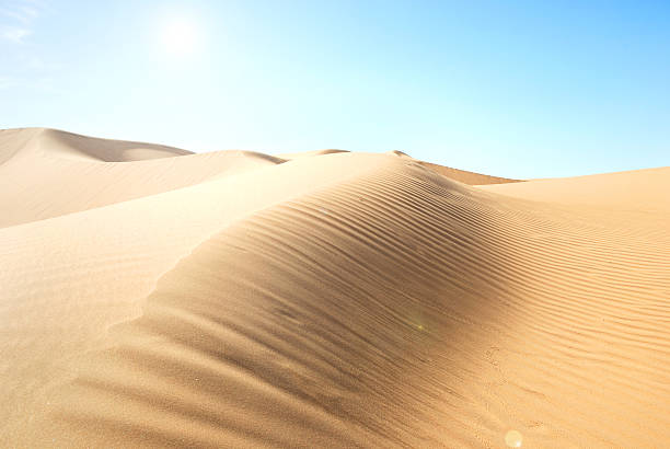 ゴールドの砂漠の夕日 ストックフォト
