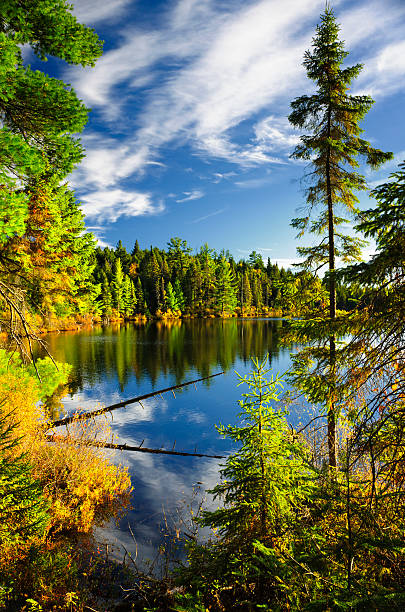 istock Forest and sky reflecting in lake 153259512
