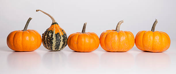 istock One of a Kind Gourd 153261313
