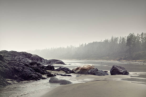 Rocks on a coast line at Tofino, BC, Canada