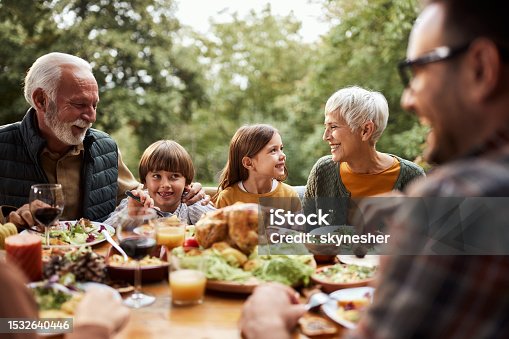 istock Happy multi-generation family having lunch in nature. 1532640446