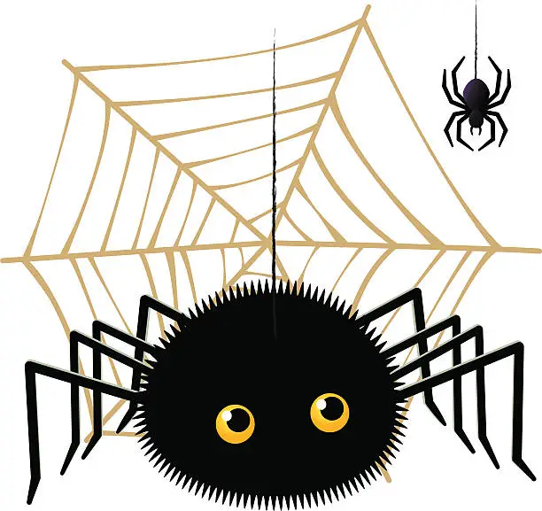 Vector illustration of Cartoon spider looking up a tarantula on cobweb