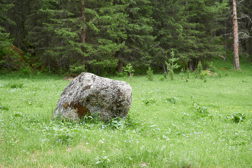 Big stone on the green meadow in the forest.