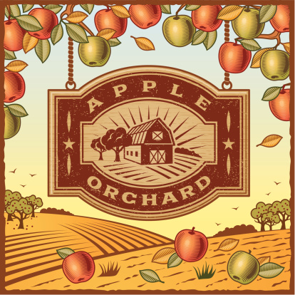 Retro landscape with Apple Orchard sign in woodcut style. Vector illustration with clipping mask. Includes high resolution JPG.