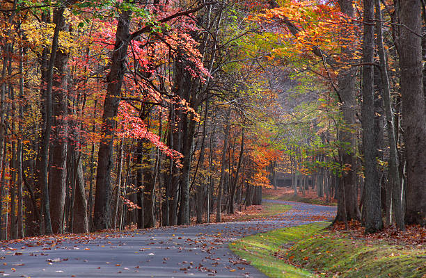 Scenic autumn drive stock photo