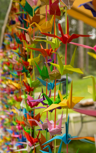 Colorful Origami Cranes  for a Wedding reception