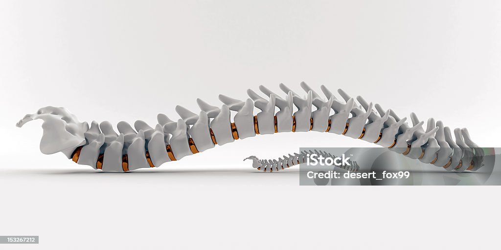 Colonna vertebrale, bianco e golden primo piano - Foto stock royalty-free di Tridimensionale