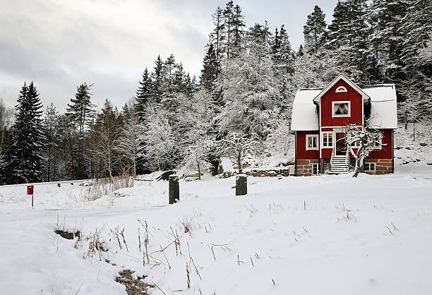 istock Winter day in Swedish village 153270944
